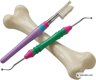 Pinsel und Knochenpickel