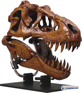 T-Rex-Schädelständer