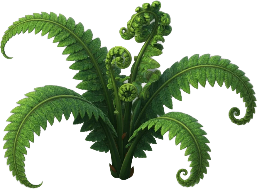 Lush Green Fern