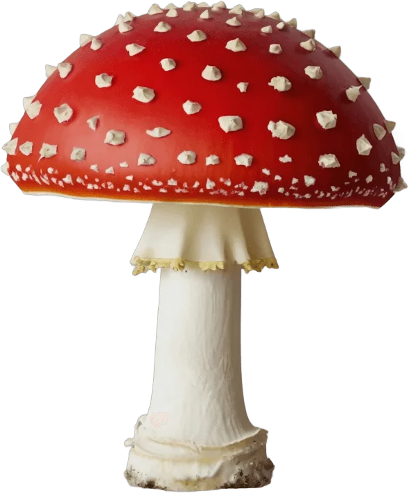 红白毒蝇伞
