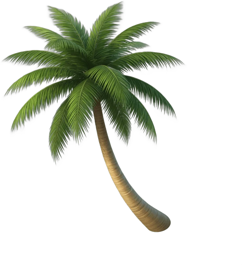 Tropical palm tree
