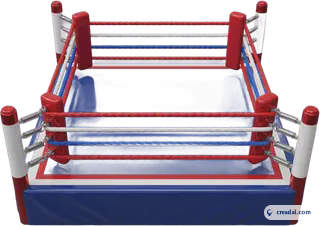 Boxring mit Seilen