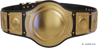 Goldener Meistergürtel