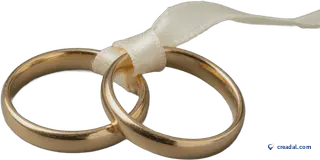 絡み合う金の結婚指輪