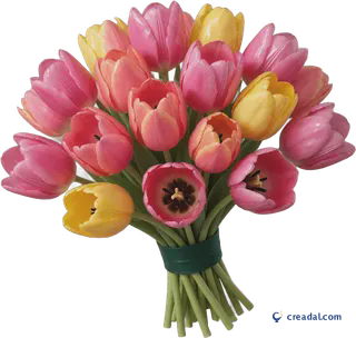 Buquê de tulipas rosa