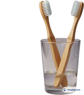 Two Bamboo Toothbrushes