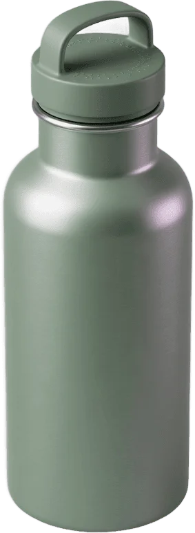 Gourde acier sauge