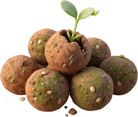 Boules de graines
