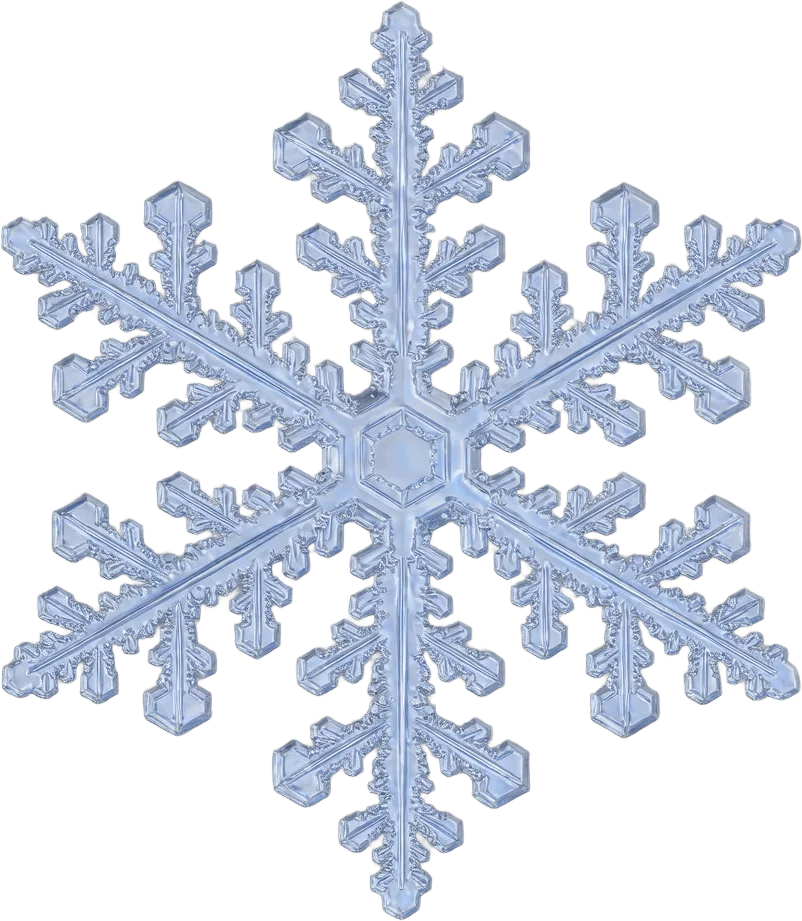 氷の雪結晶