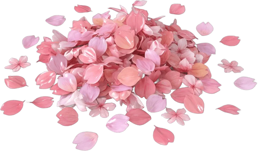 桜の花びら
