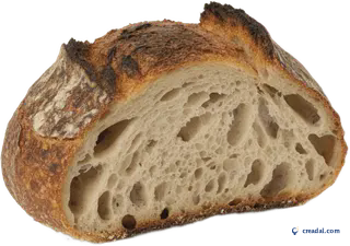 Rustic sourdough slice