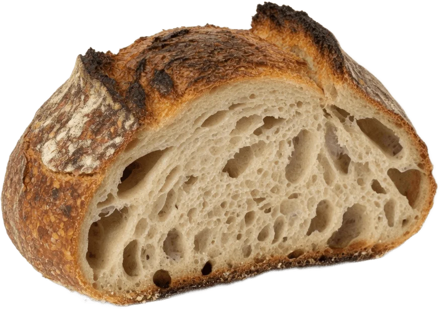Rustic sourdough slice