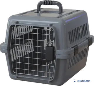 Graue Transportbox
