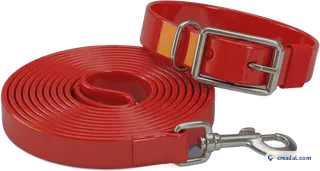 Rote Leine und Halsband