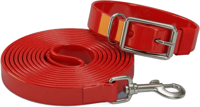 Red leash and collar