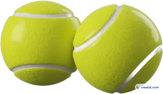 Gelbe Hund Tennisbälle