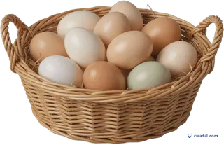 Panier d'Œufs Osier