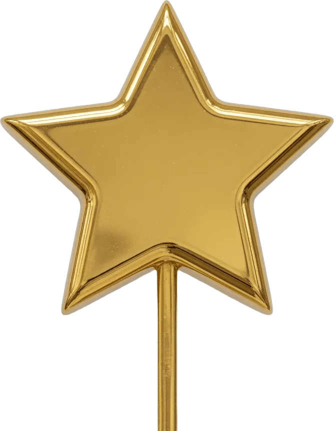Topper Étoile Dorée