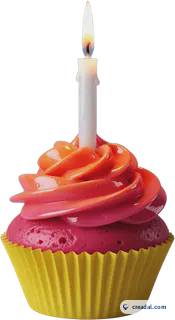 Cupcake with lit candle