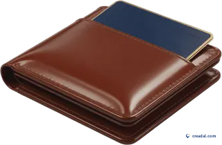 Portefeuille cuir marron