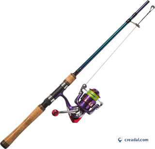 Spinning fishing rod