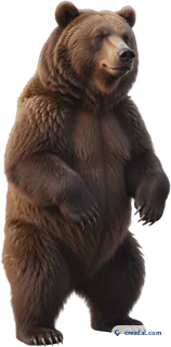 Standing Brown Bear