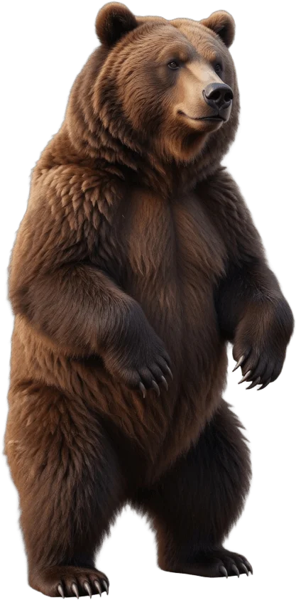 Standing Brown Bear