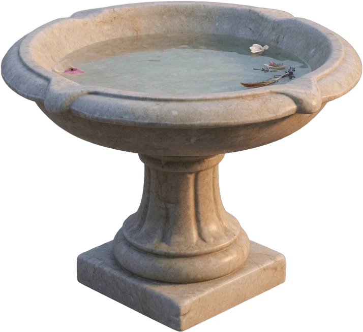 Bain d'oiseaux en pierre
