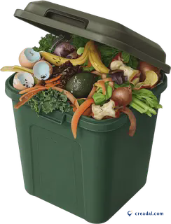 Compost Bin Scraps