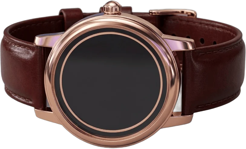 Montre-bracelet de luxe
