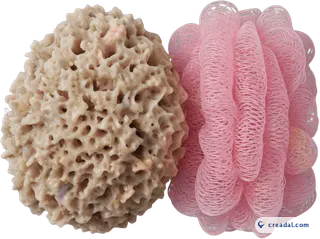 Éponge marine et luffa