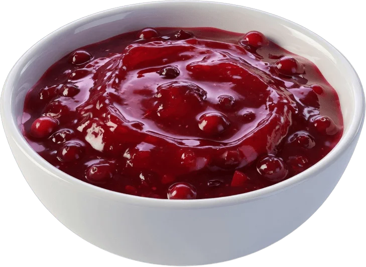Schale mit Preiselbeeren