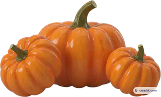 Drei Orangefarbene Kürbisse