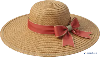 Chapeau de paille