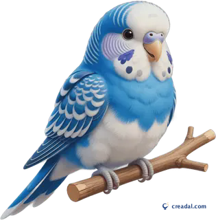 Blue Budgie