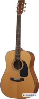 Acoustic Guitar