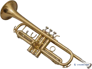 Golden Brass Trumpet