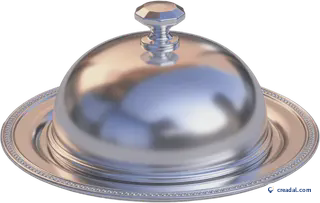 Silver room service cloche
