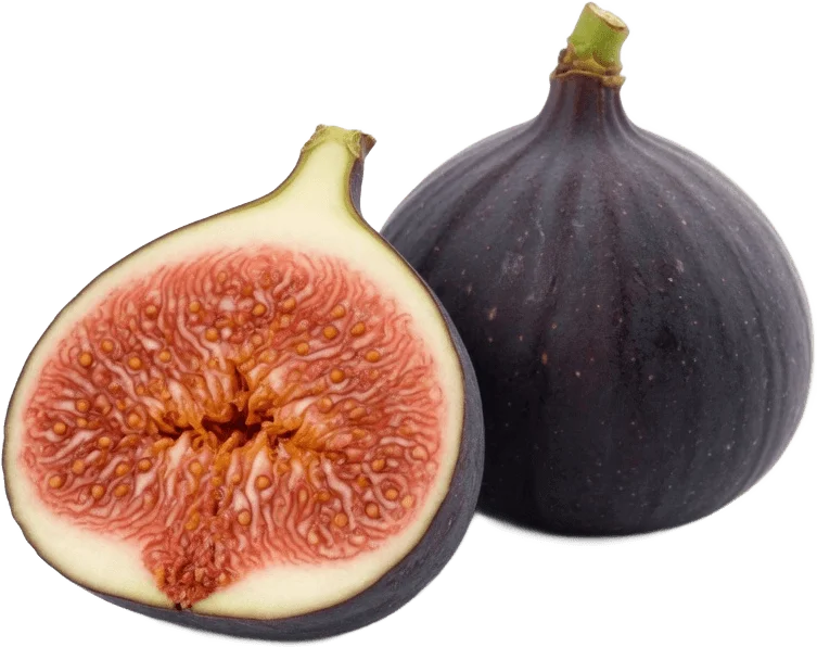 Fresh Fig Cutout
