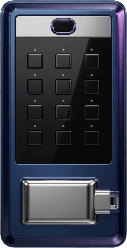Blank Keypad Smart Lock