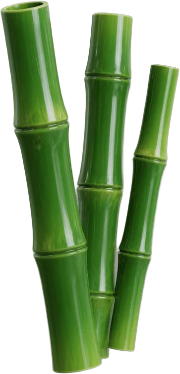 Tiges de bambou vert