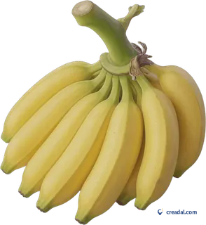 Cacho de bananas