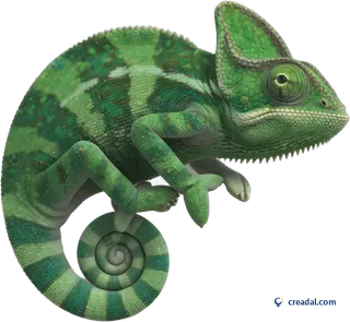 Camaleão verde tropical