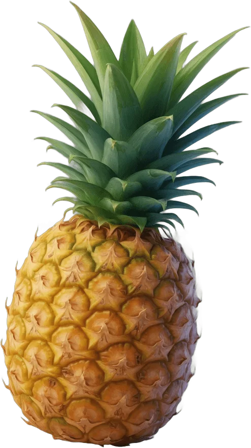 Ananas tropical entier