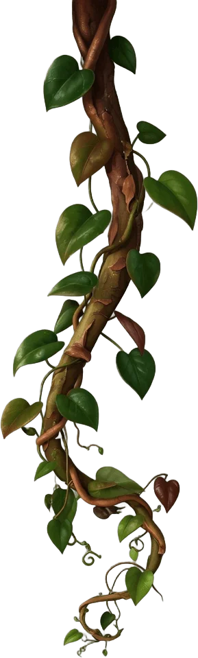 Liane Suspendue Tropicale