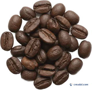 Roasted Coffee Beans