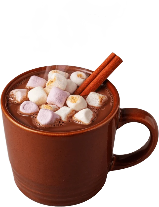 Hot Chocolate Mug