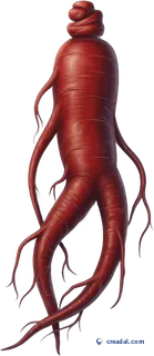 Ginseng Rouge