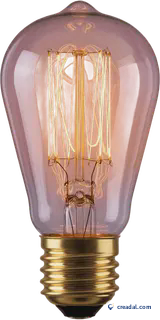 Ampoule Edison vintage