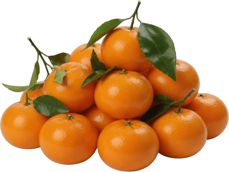 Mandarinen mit Blättern